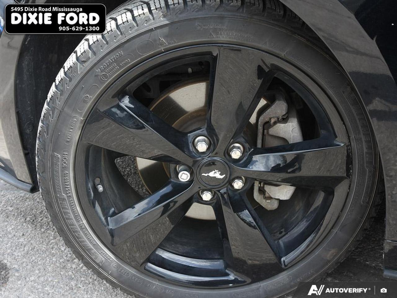 2022 Ford Mustang EcoBoost Premium Photo
