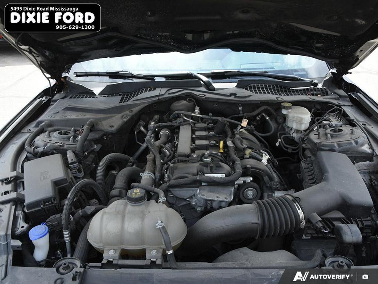 2022 Ford Mustang EcoBoost Premium Photo