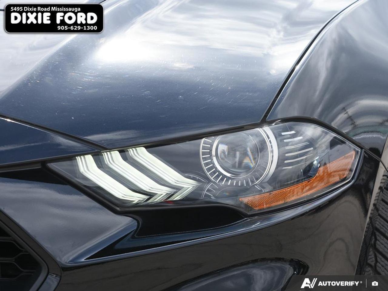 2022 Ford Mustang EcoBoost Premium Photo