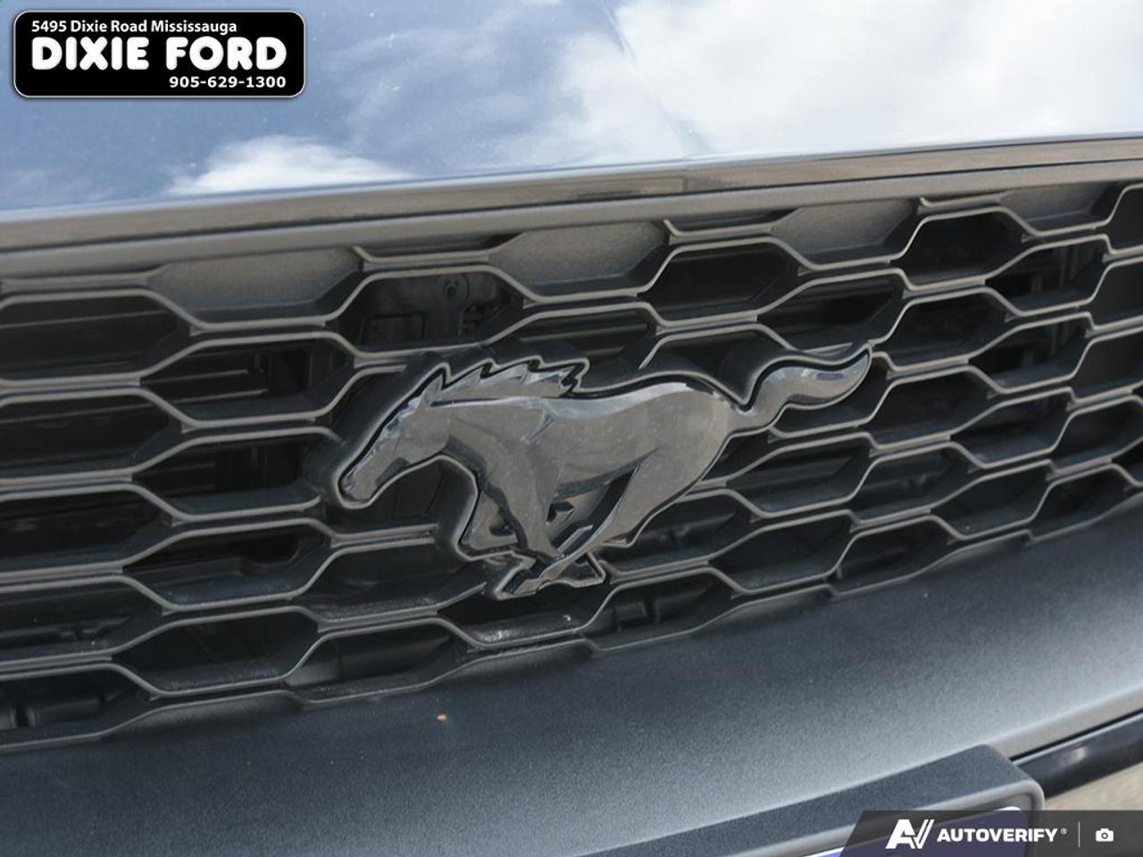 2022 Ford Mustang EcoBoost Premium Photo