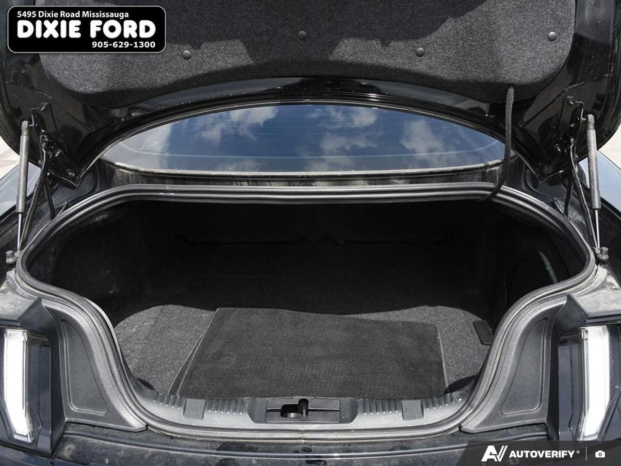 2022 Ford Mustang EcoBoost Premium Photo