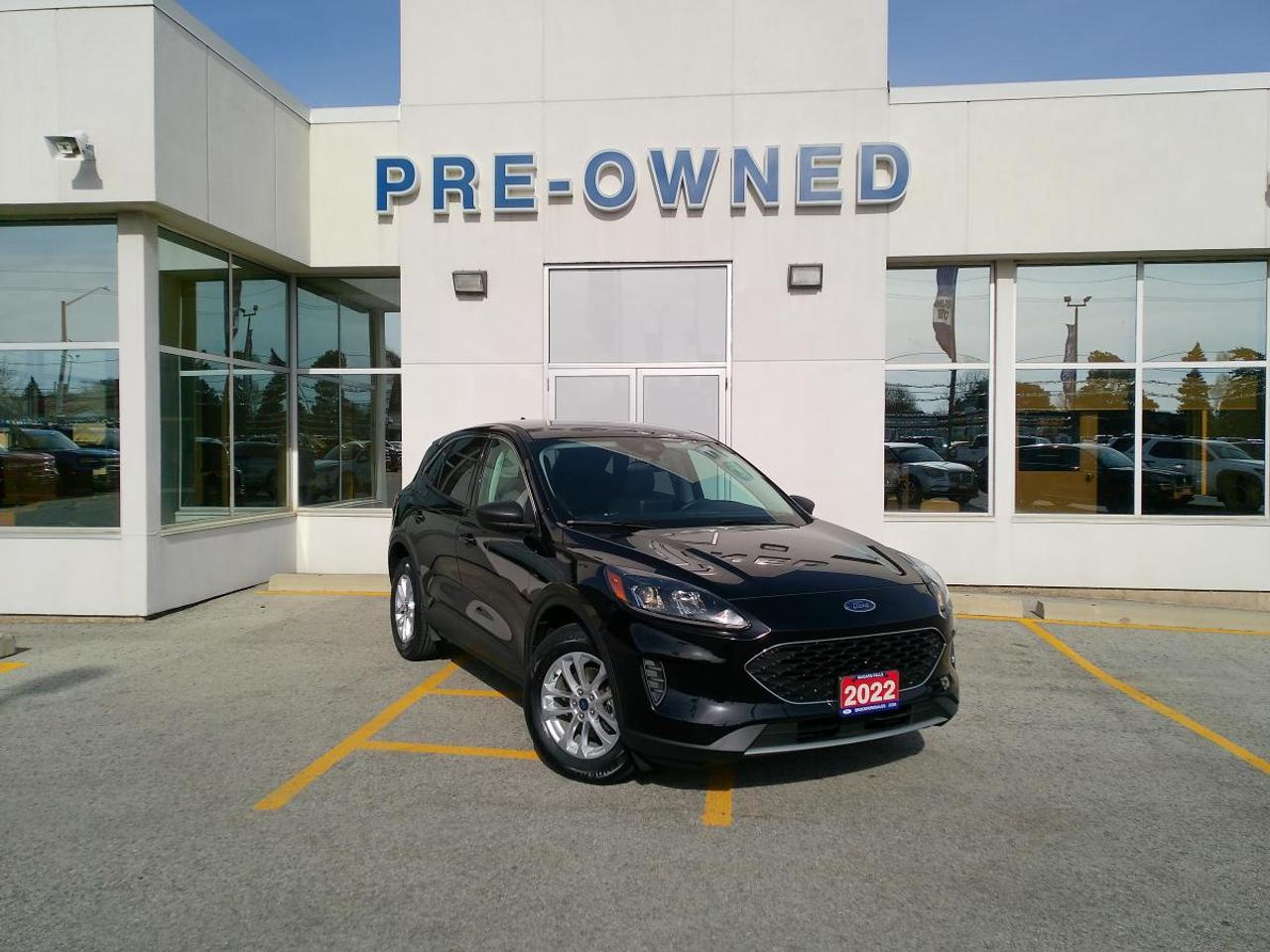 2022 Ford Escape SE AWD Photo