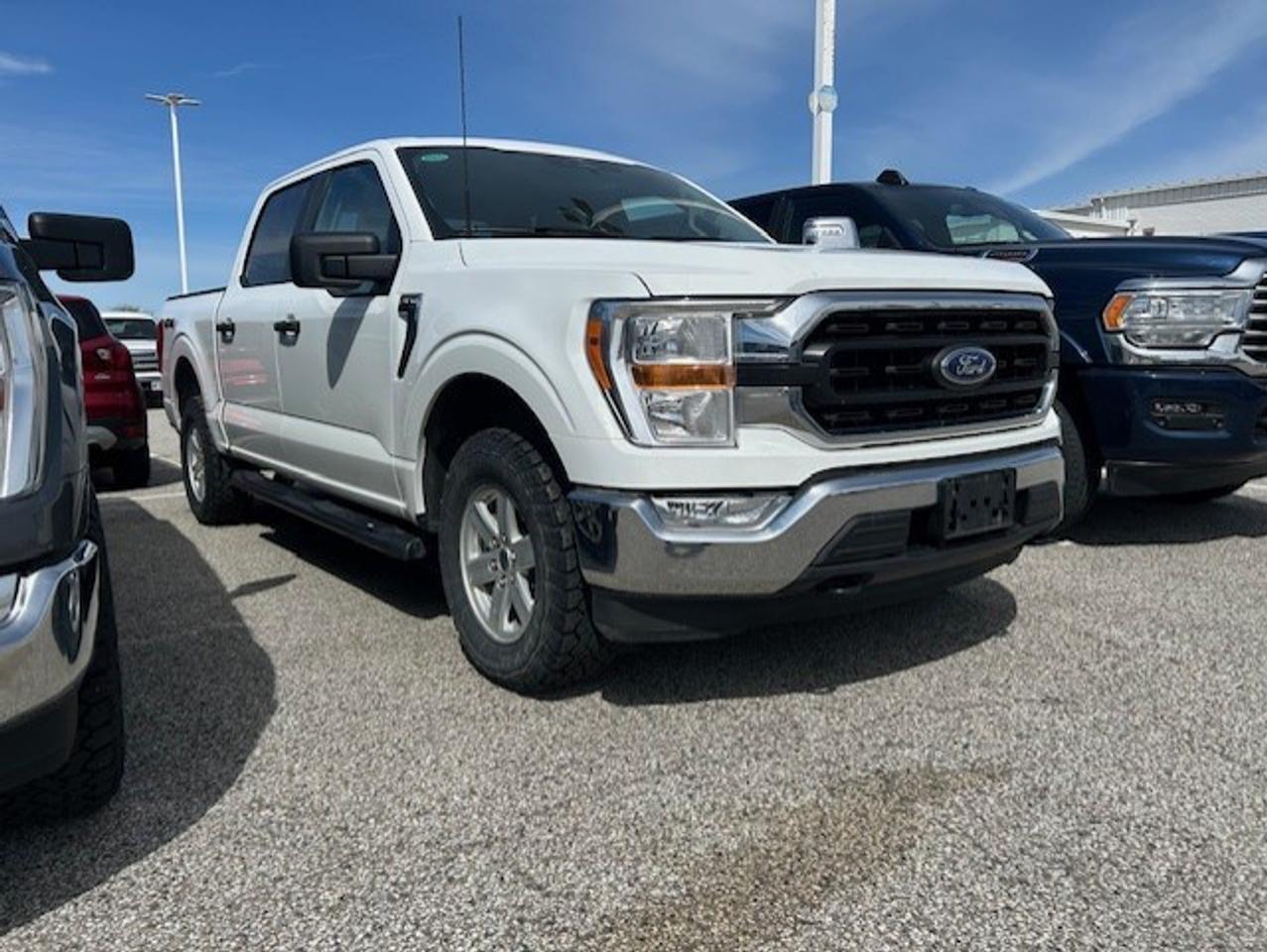 2023 Ford F-150 XLT 4WD SuperCrew 5.5' Box Photo0