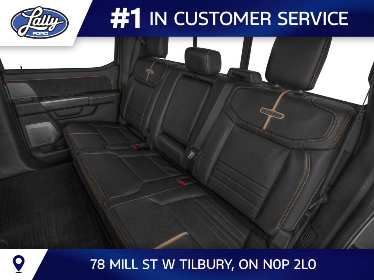 2026 Ford F-250 Super Duty SRW PLATINUM 4WD CREW CAB 6.75' BOX Photo