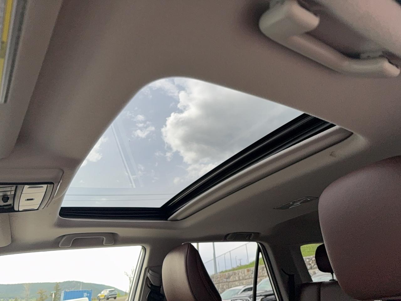 2020 Toyota 4Runner Limited Photo