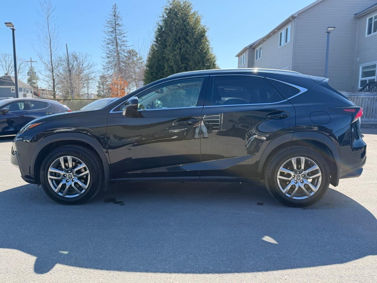 2021 Lexus NX NX 300 AWD Photo