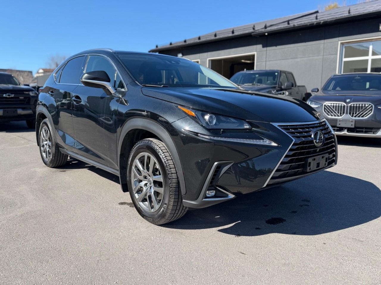 2021 Lexus NX NX 300 AWD Photo
