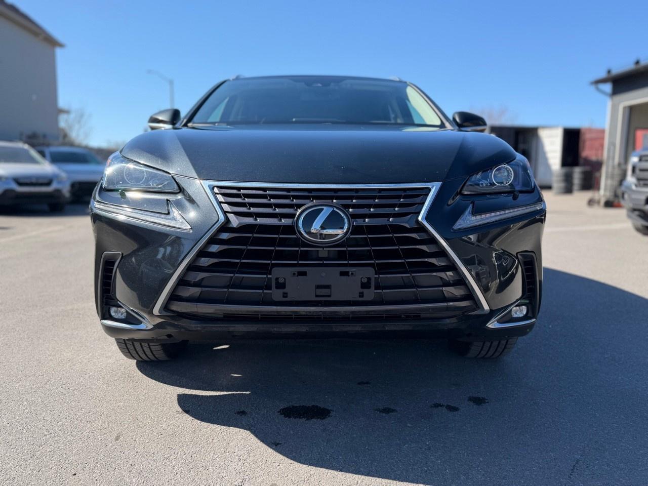 2021 Lexus NX NX 300 AWD Photo