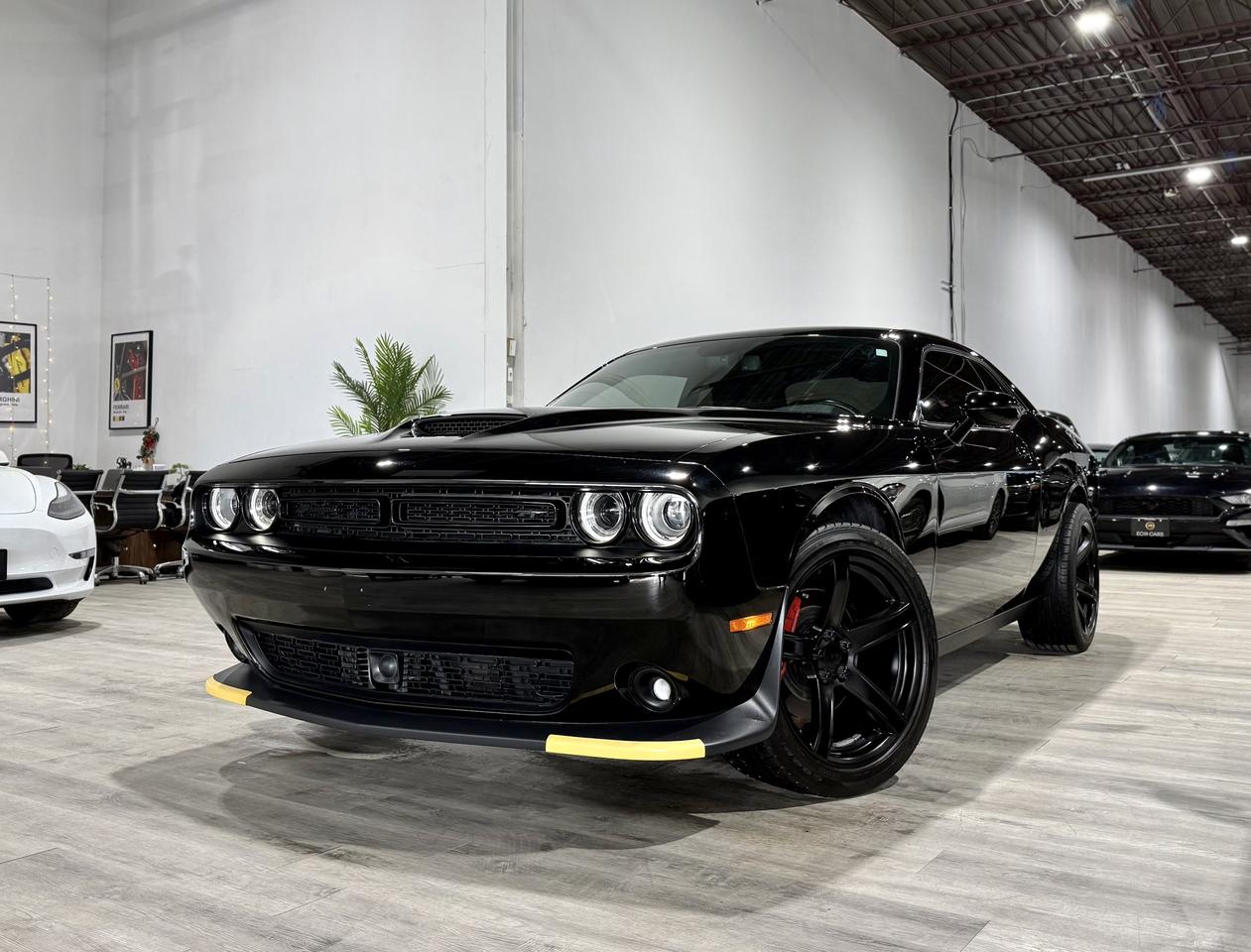 2019 Dodge Challenger GT Plus Awd||Blacktop||Tech Pkg||Harmon Sound||SRT Photo