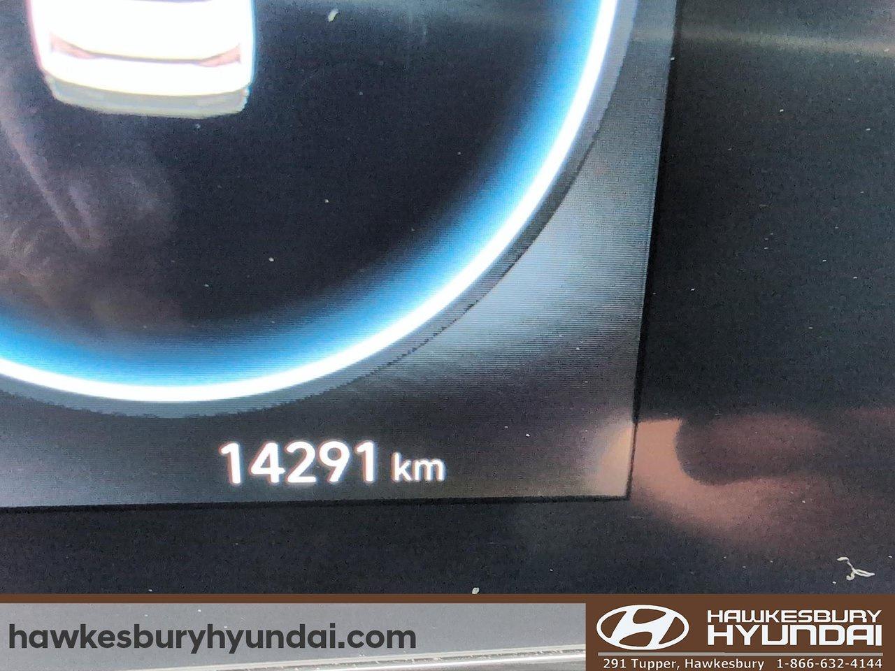 2025 Hyundai Elantra Luxury Photo