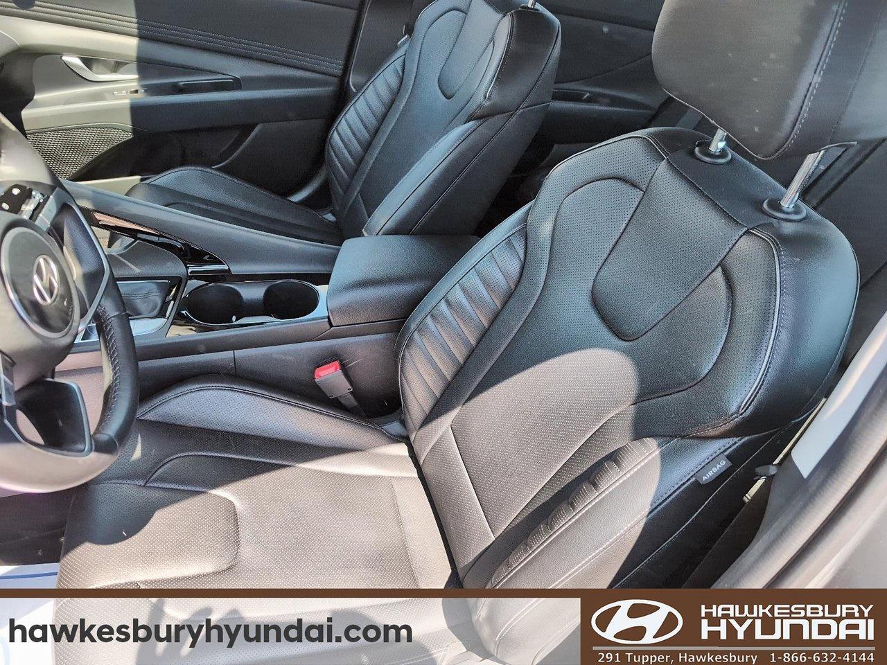 2025 Hyundai Elantra Luxury Photo