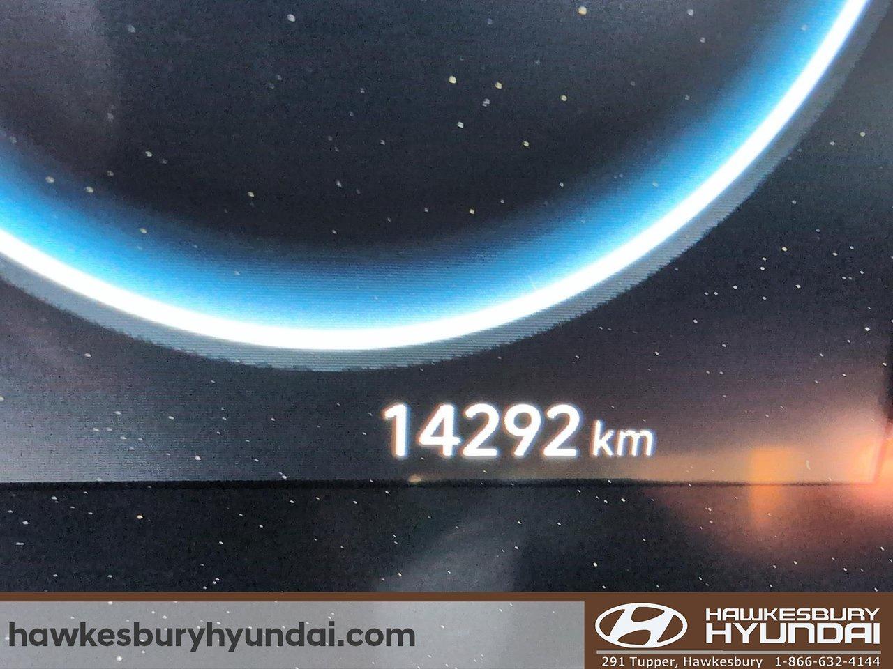 2025 Hyundai Elantra Luxury Photo