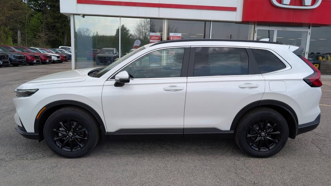 2026 Honda CR-V Sport 4dr All-Wheel Drive Photo