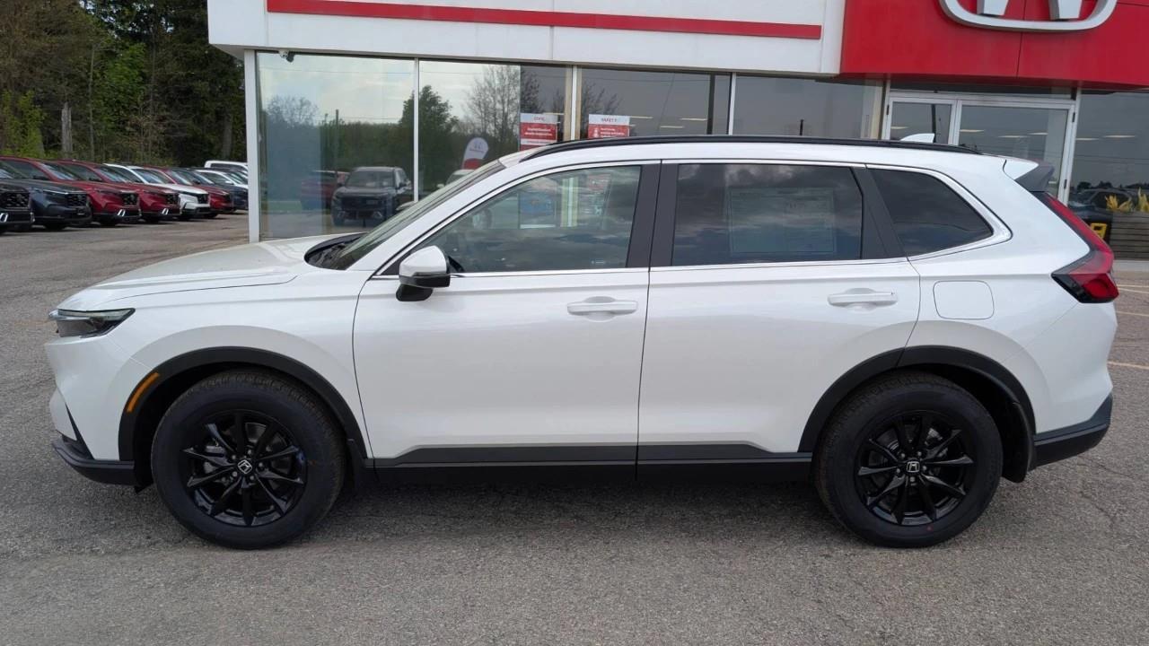 2026 Honda CR-V Sport 4dr All-Wheel Drive Photo