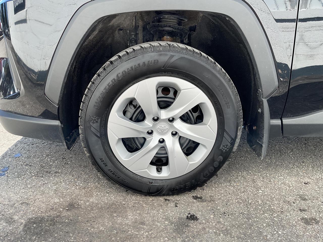 2024 Toyota RAV4 LE 4dr All-wheel Drive Photo