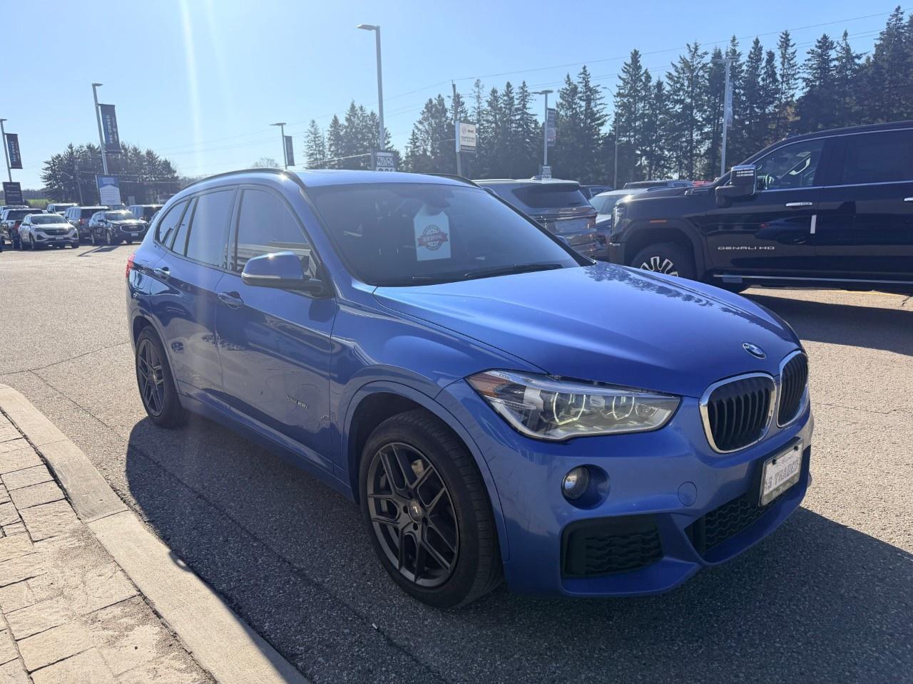 2017 BMW X1 AWD 4dr SAV Photo