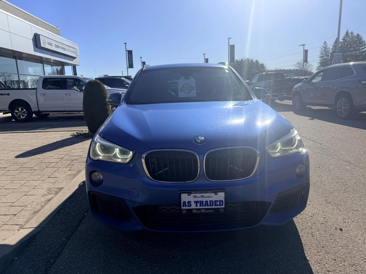 2017 BMW X1 AWD 4dr SAV Photo