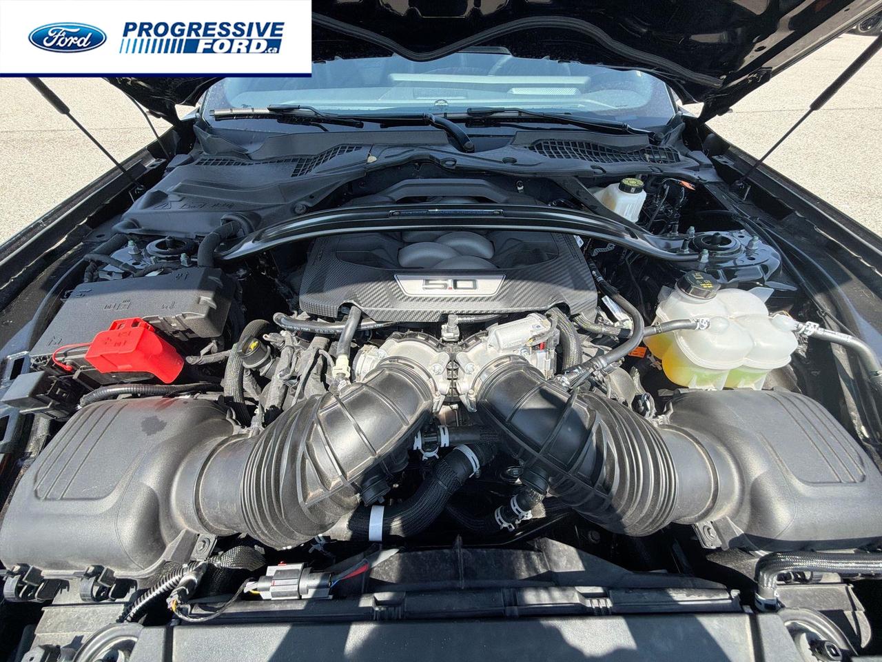 2024 Ford Mustang Dark Horse 2dr Fastback Photo
