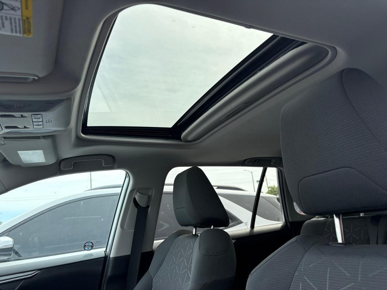 2020 Toyota RAV4 XLE 4dr Front-wheel Drive Photo