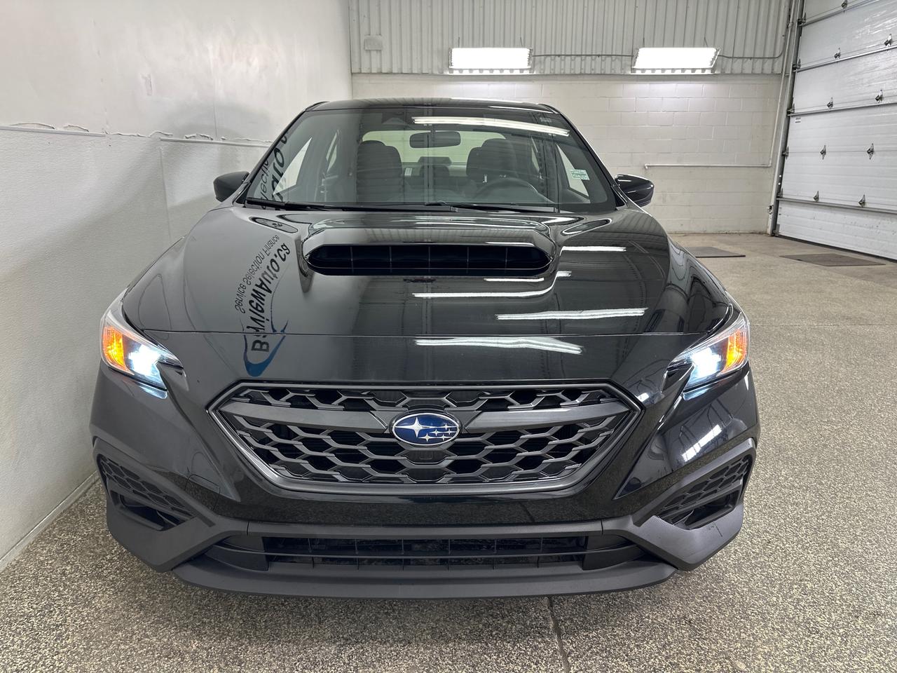 2024 Subaru WRX  Photo