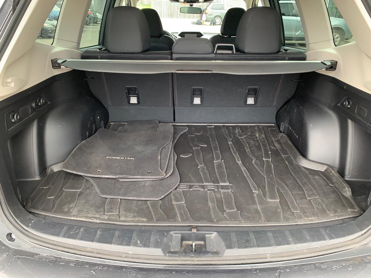 2024 Subaru Forester Touring 4dr All-Wheel Drive Photo