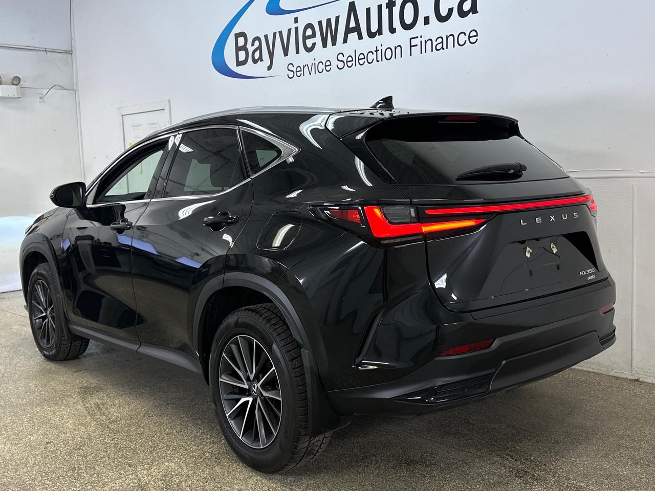 2025 Lexus NX 350  Photo3