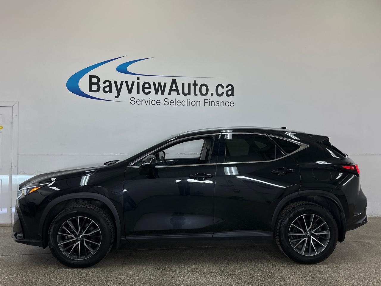 2025 Lexus NX 350  Photo2