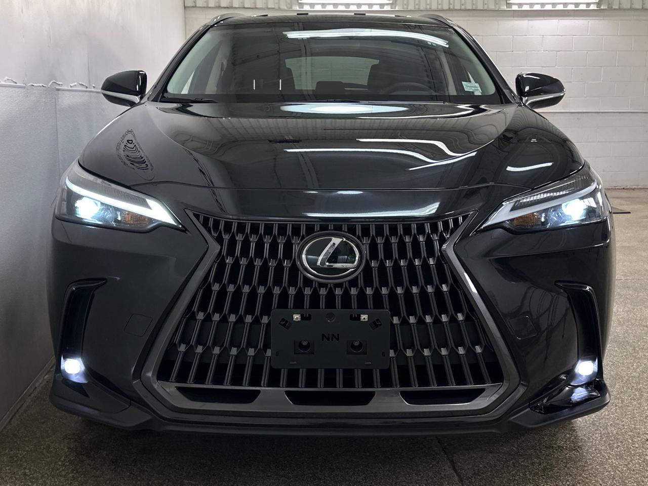 2025 Lexus NX 350  Photo