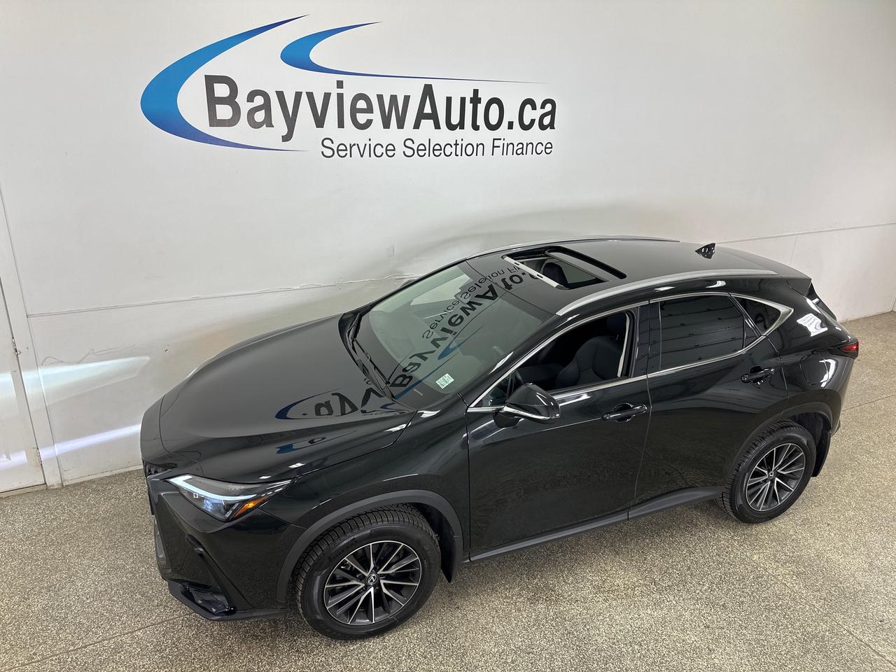 2025 Lexus NX 350  Photo0