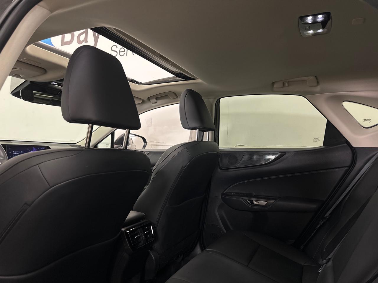 2025 Lexus NX 350  Photo