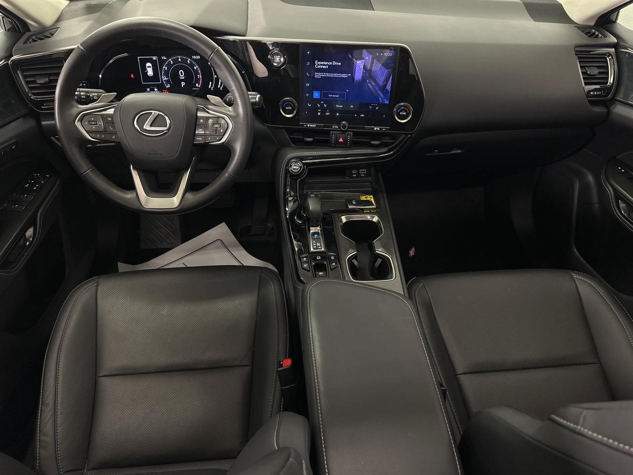 2025 Lexus NX 350  Photo