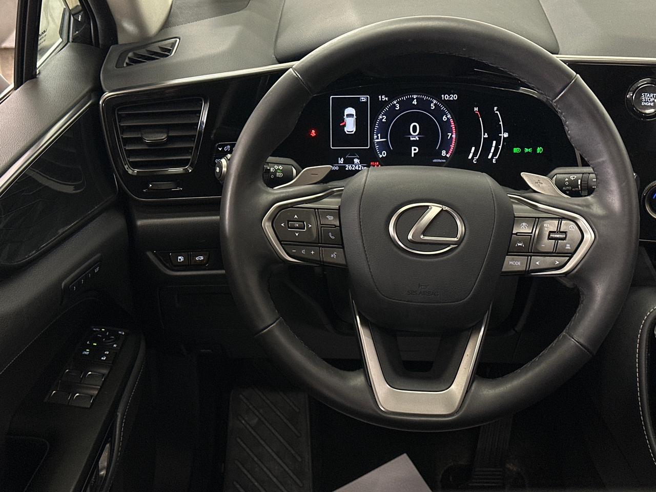 2025 Lexus NX 350  Photo