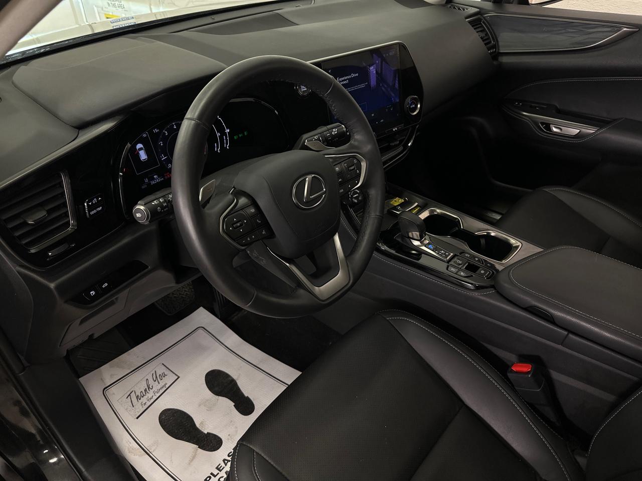 2025 Lexus NX 350  Photo