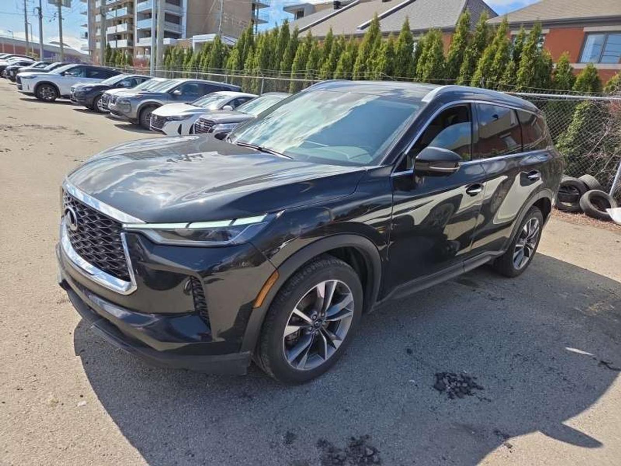 Used 2024 Infiniti QX60 LUXE 4dr All-Wheel Drive for sale in Belleville, ON