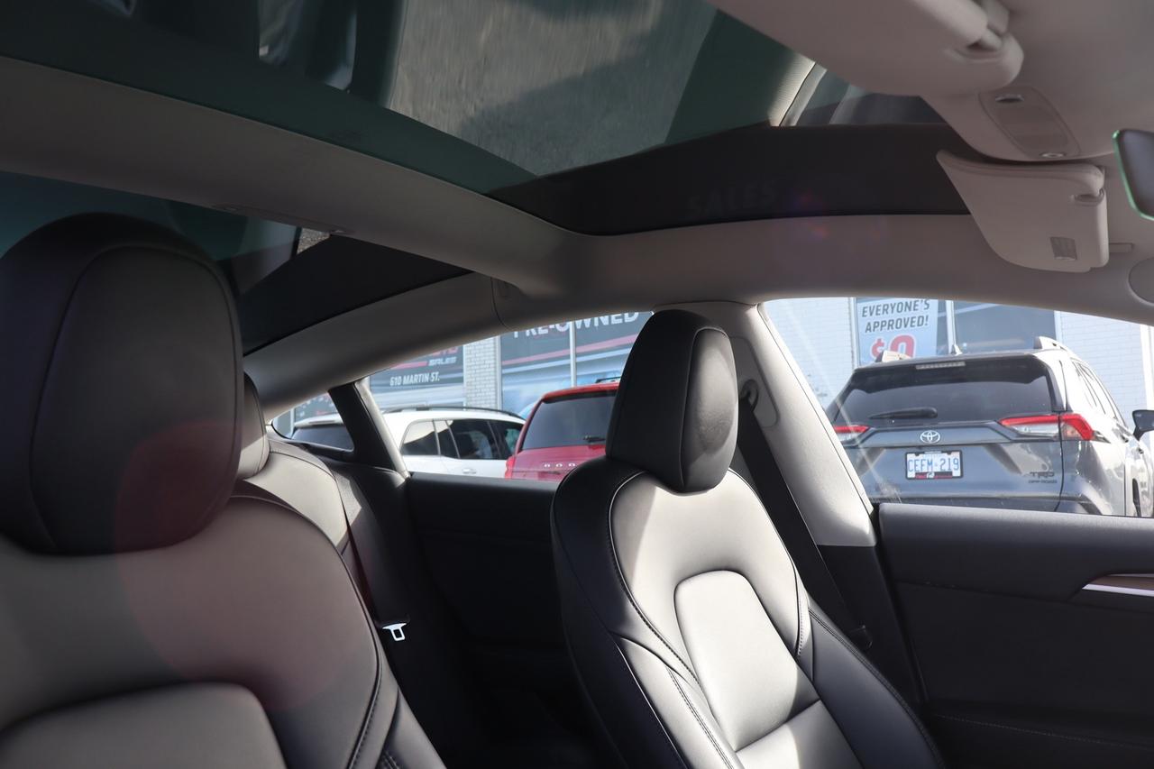2023 Tesla Model 3 Standard Range Plus   No Accident   Clean Carfax Photo