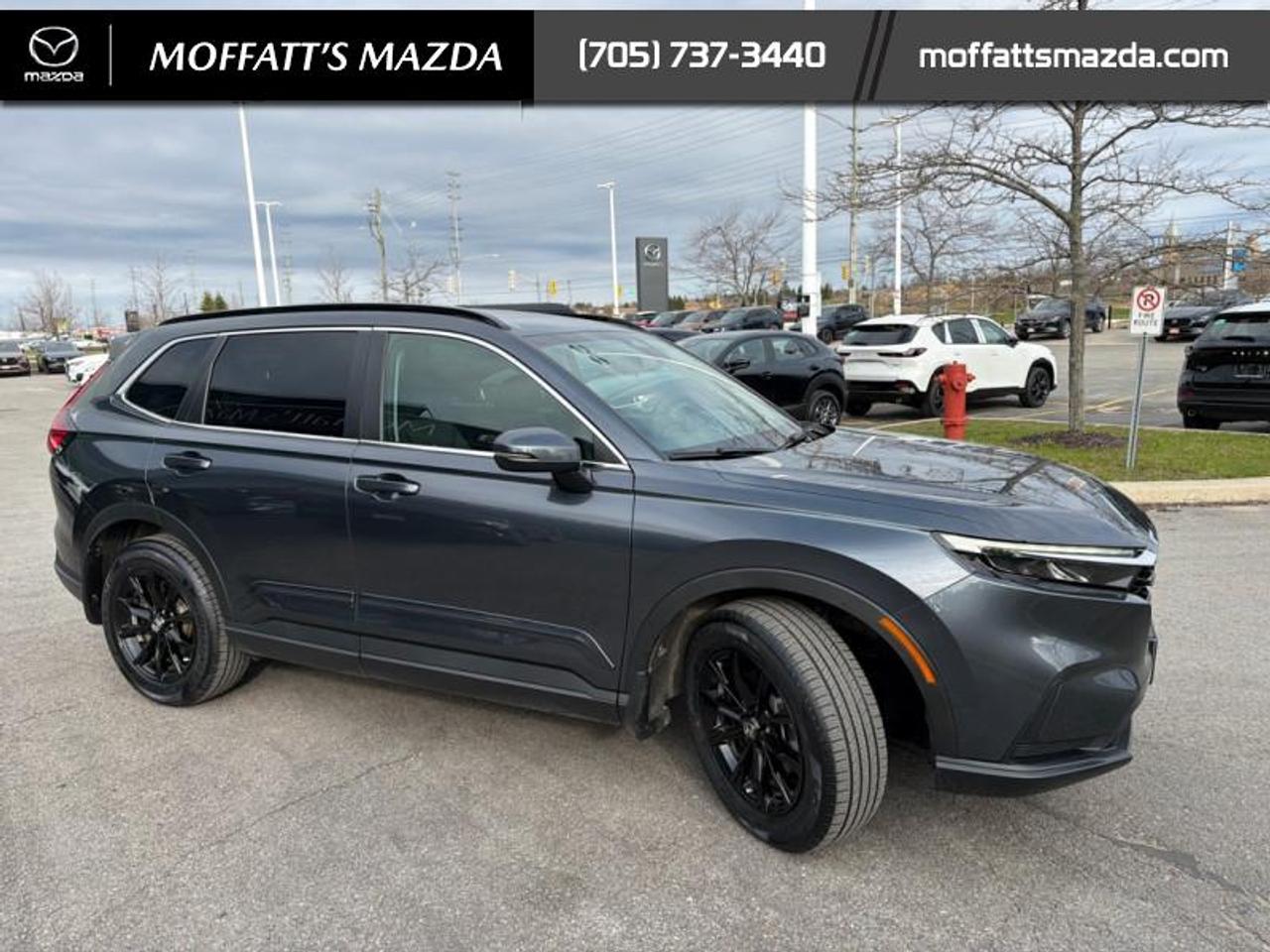 2025 Honda CR-V Sport Photo