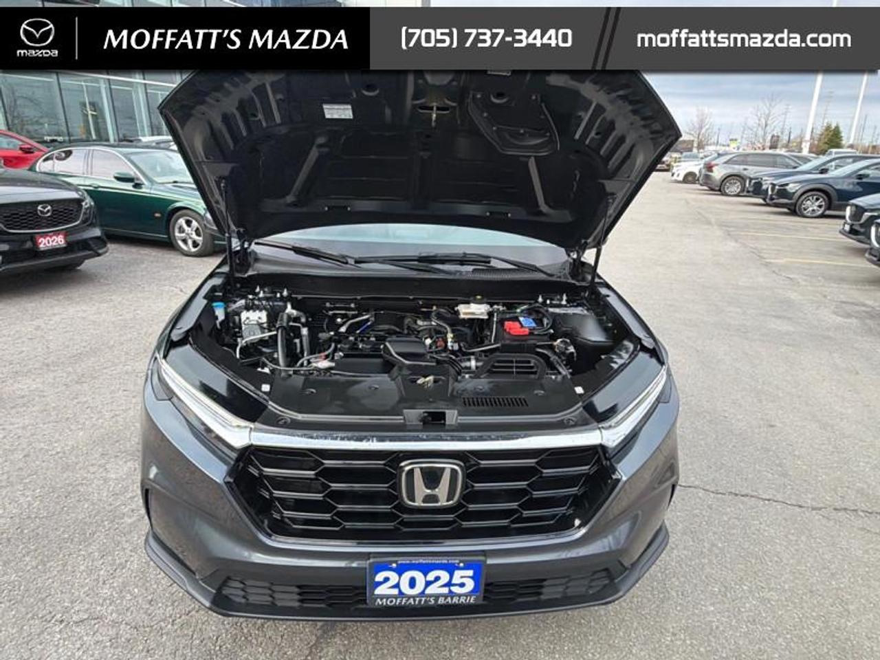 2025 Honda CR-V Sport Photo