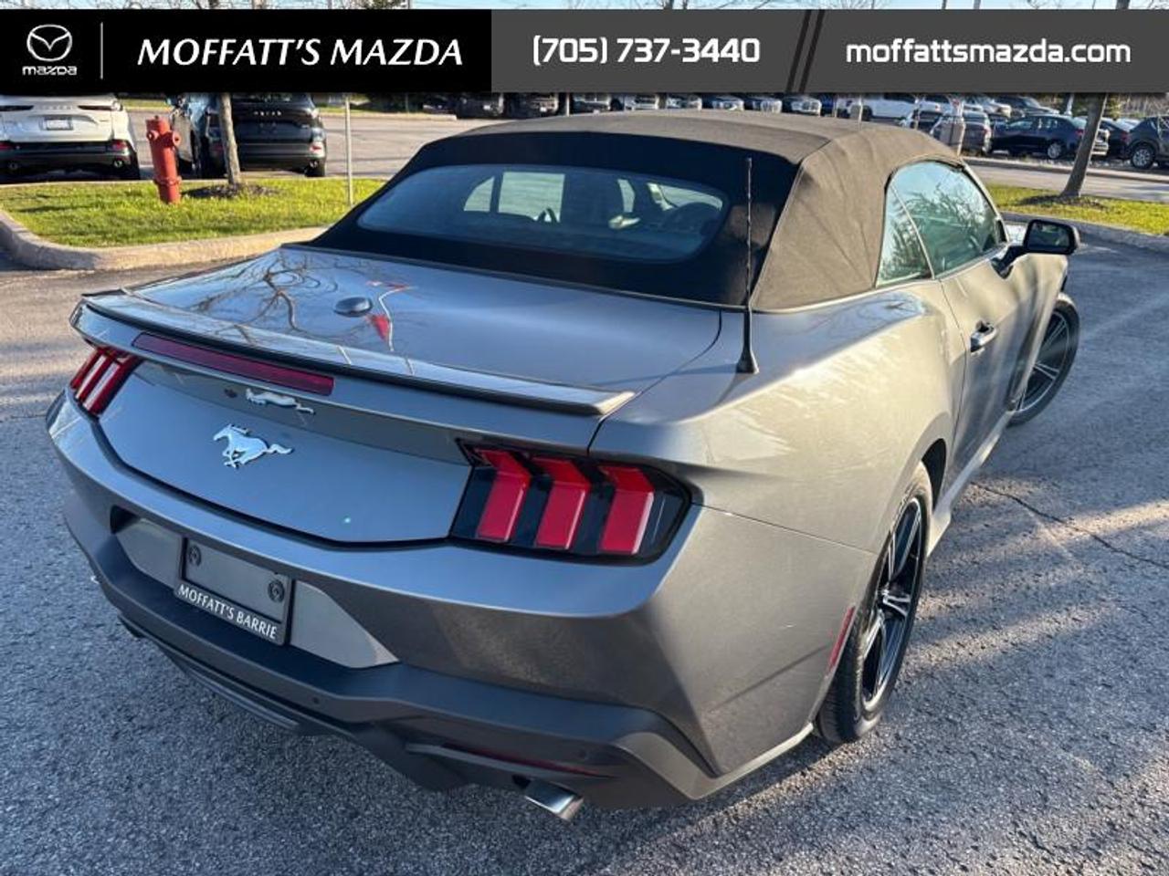 2025 Ford Mustang EcoBoost Photo4