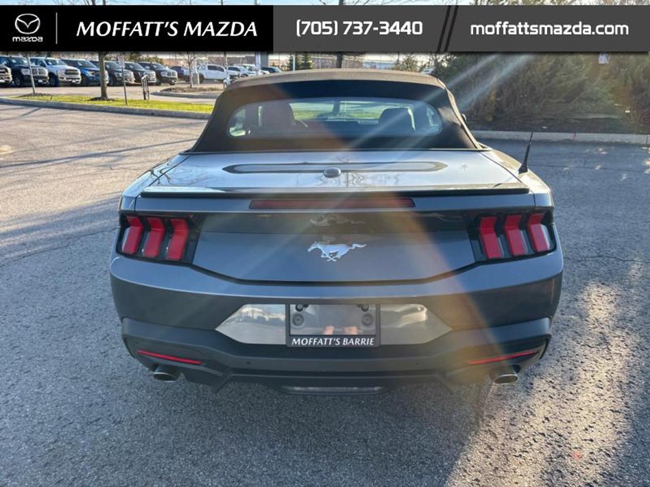 2025 Ford Mustang EcoBoost Photo