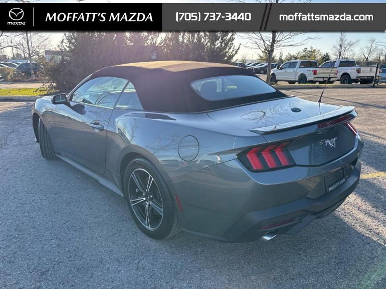 2025 Ford Mustang EcoBoost Photo