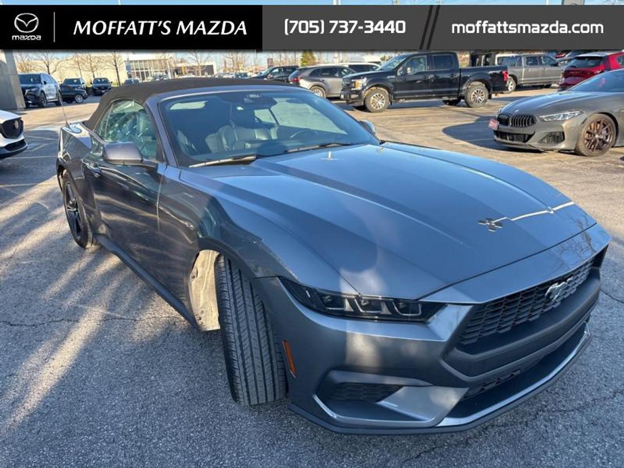 2025 Ford Mustang EcoBoost Photo