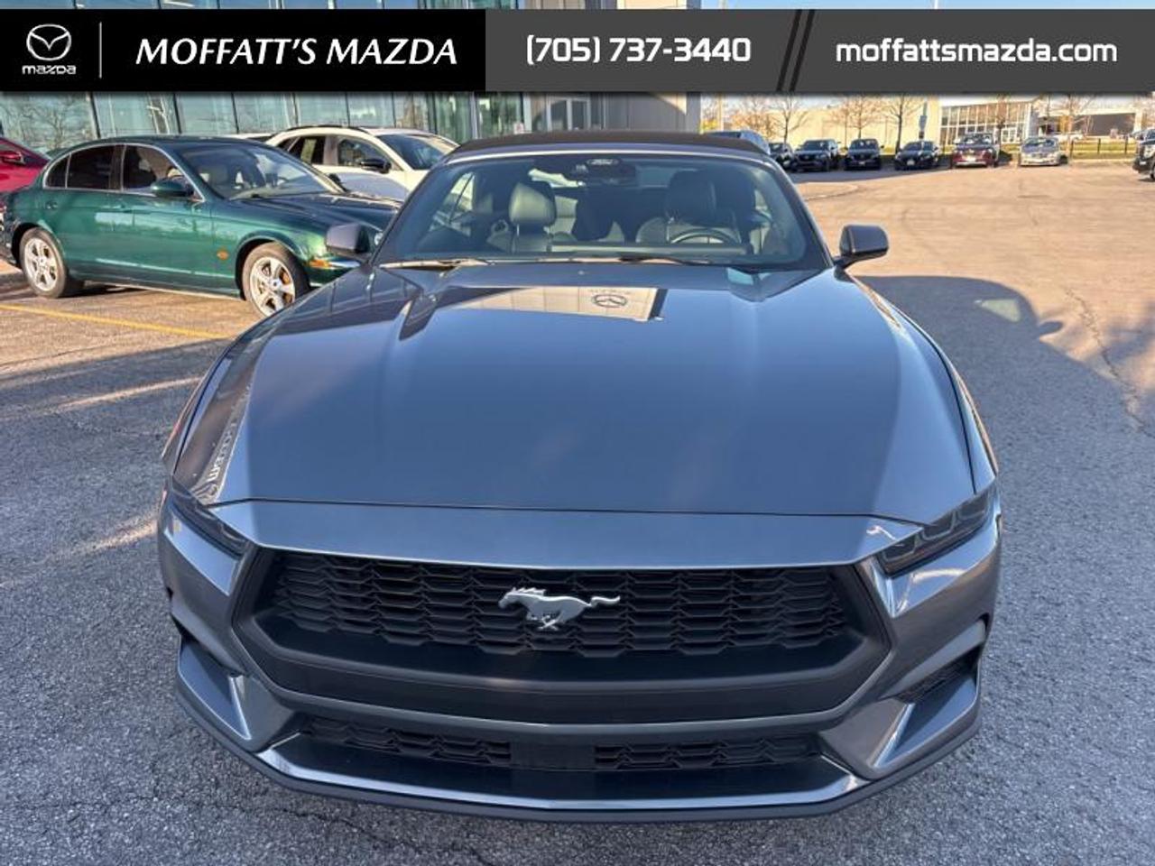 2025 Ford Mustang EcoBoost Photo