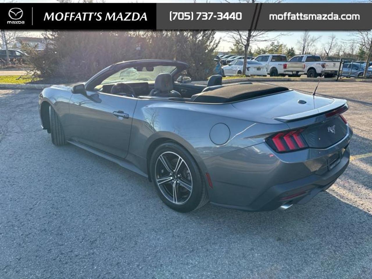 2025 Ford Mustang EcoBoost Photo