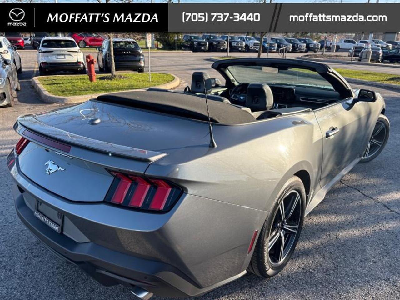 2025 Ford Mustang EcoBoost Photo