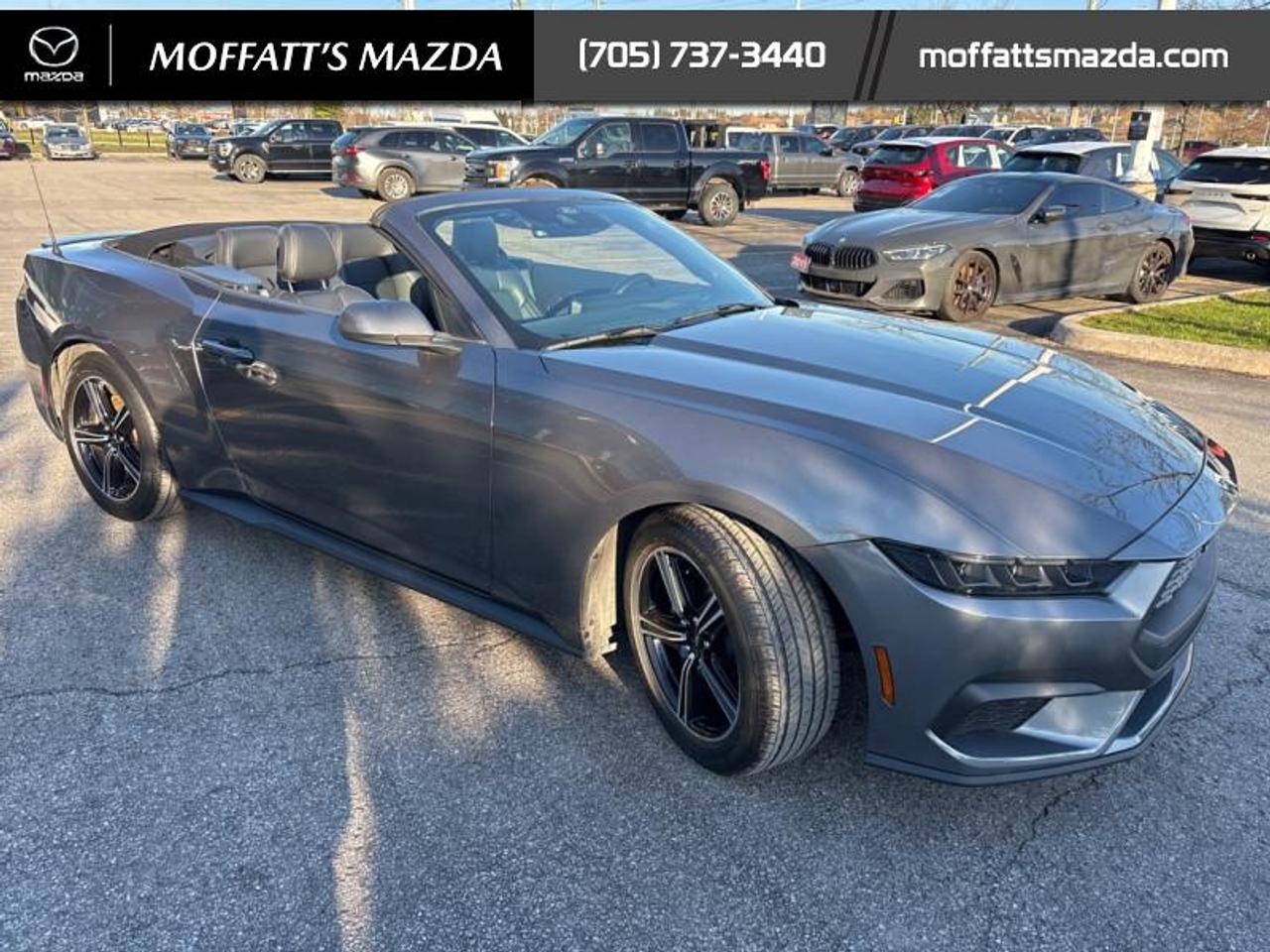 2025 Ford Mustang EcoBoost Photo