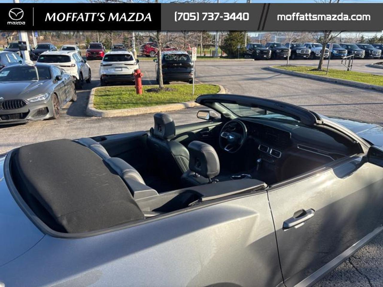 2025 Ford Mustang EcoBoost Photo