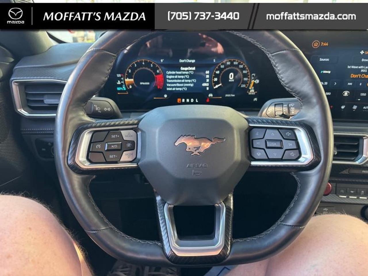 2025 Ford Mustang EcoBoost Photo
