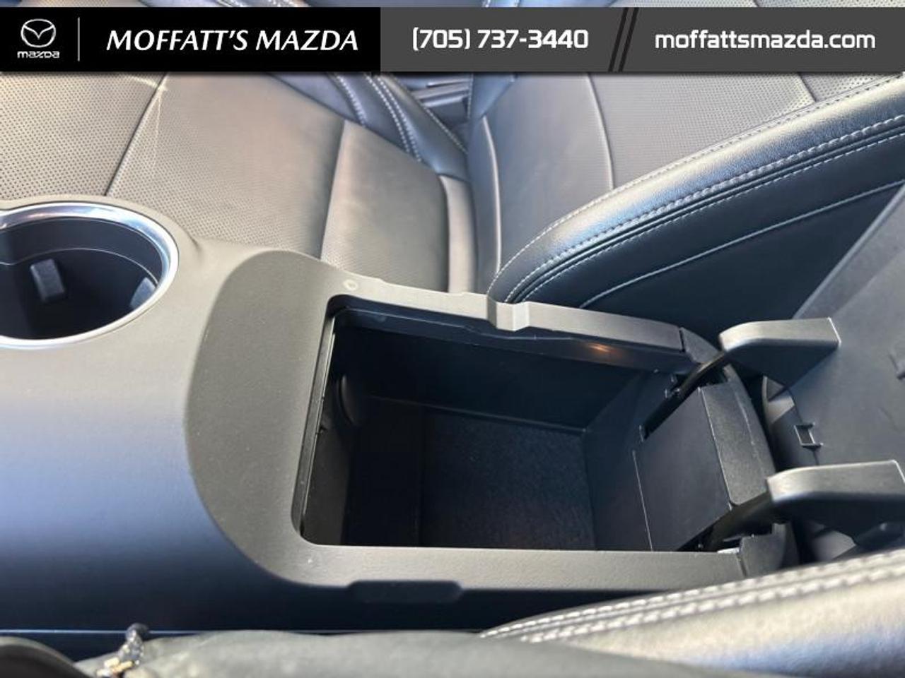 2025 Ford Mustang EcoBoost Photo