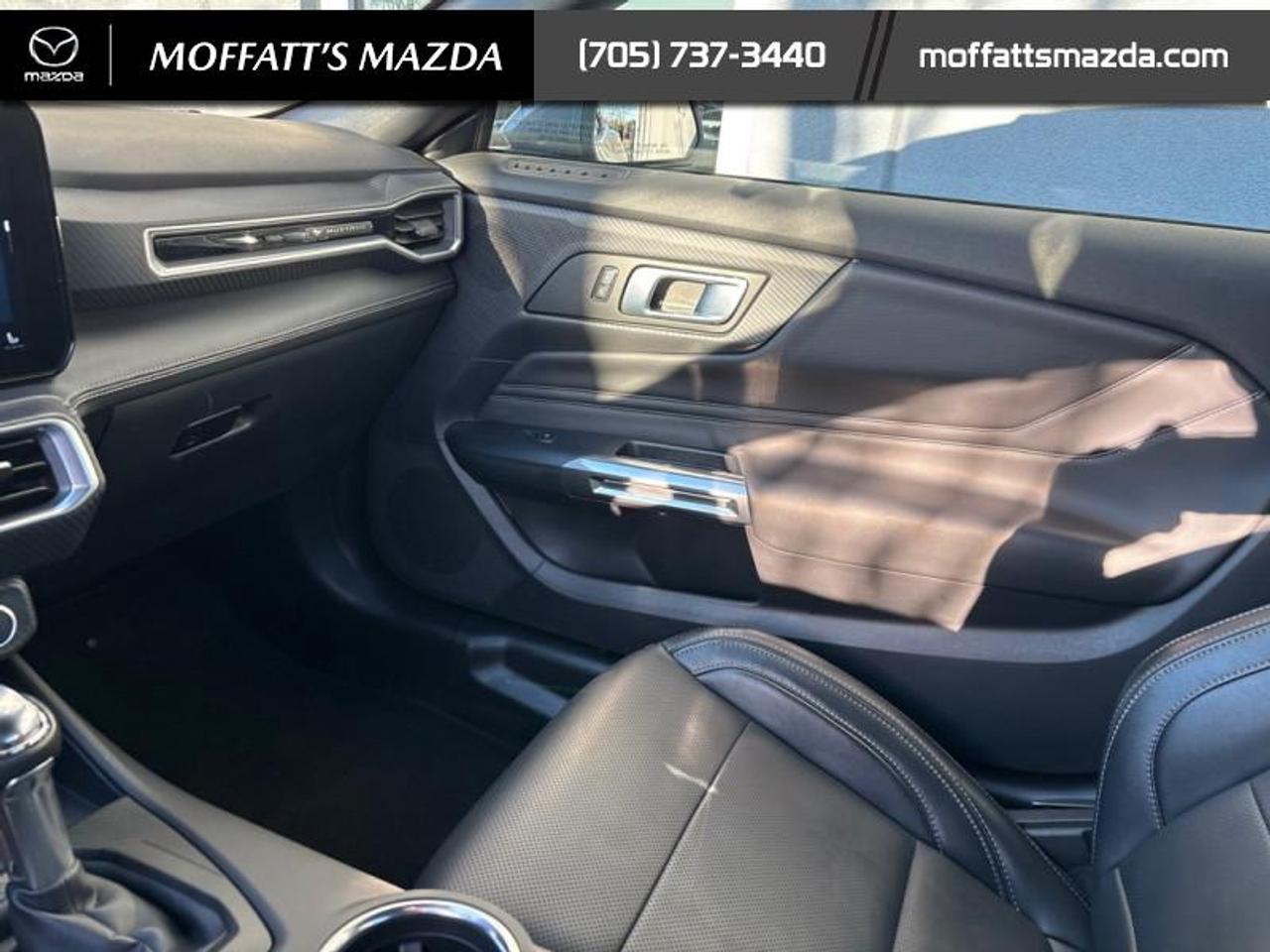 2025 Ford Mustang EcoBoost Photo