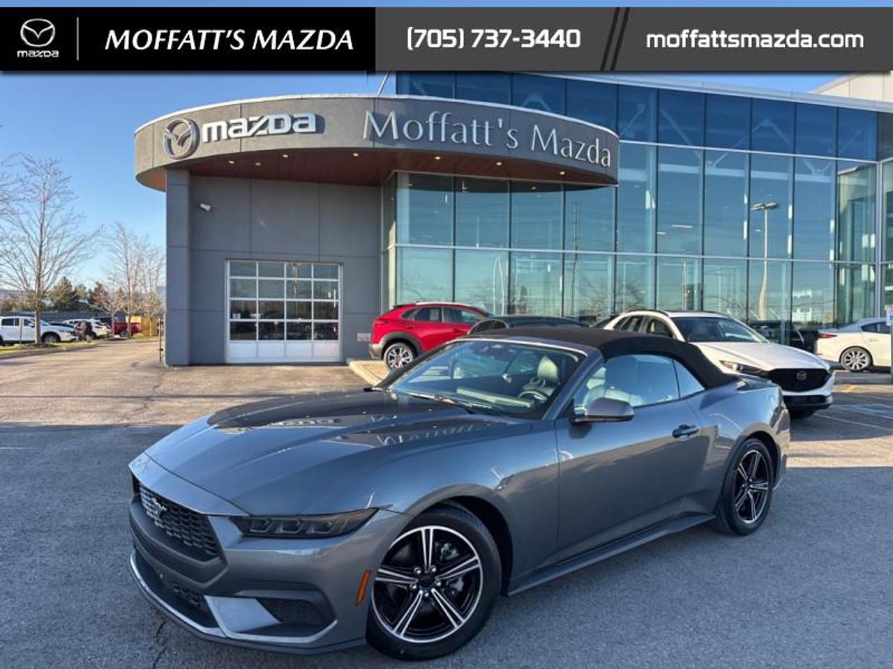 2025 Ford Mustang EcoBoost Photo